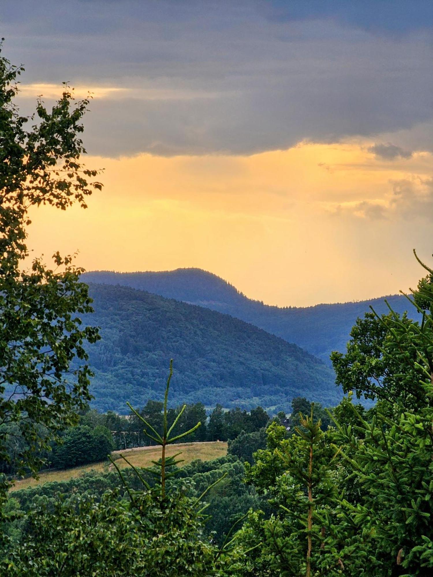 Osada Sierpnica - Uroczy Dom Z Kominkiem I Balia W Gorach Sowich Exterior foto